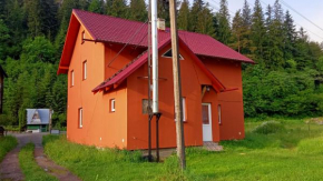 Мамина Хата, Mykulychyn